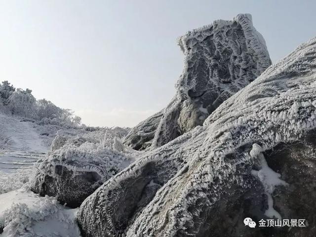 「金頂●冬雪」忽如一夜春風(fēng)來，千樹萬樹梨花開