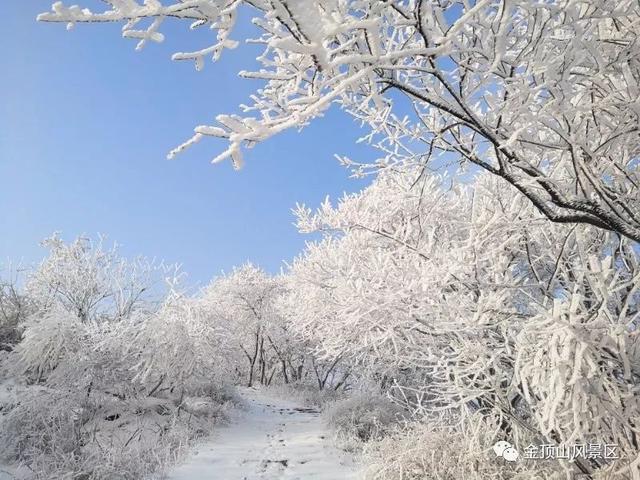 「金頂●冬雪」忽如一夜春風(fēng)來，千樹萬樹梨花開