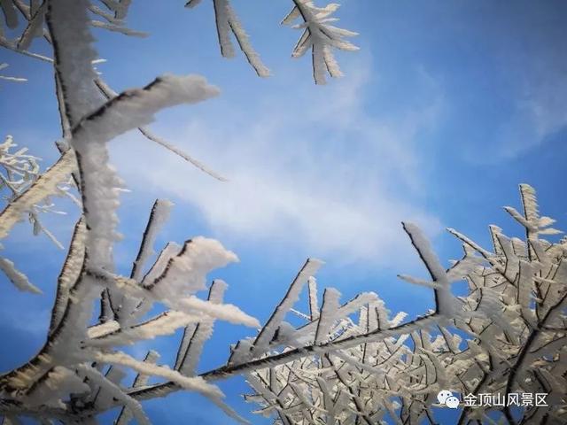 「金頂●冬雪」忽如一夜春風(fēng)來，千樹萬樹梨花開