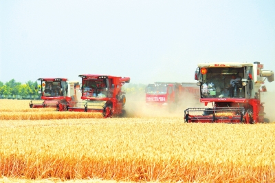 從省委一號文件重塑鄉(xiāng)村振興到全力助農(nóng)促銷蔬菜 定格河南農(nóng)業(yè)十大“高光時(shí)刻”