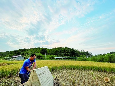 我們的創(chuàng)業(yè)夢(mèng)，種在希望的田野上