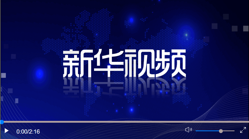 習(xí)近平同捷克總統(tǒng)澤曼舉行視頻會(huì)晤