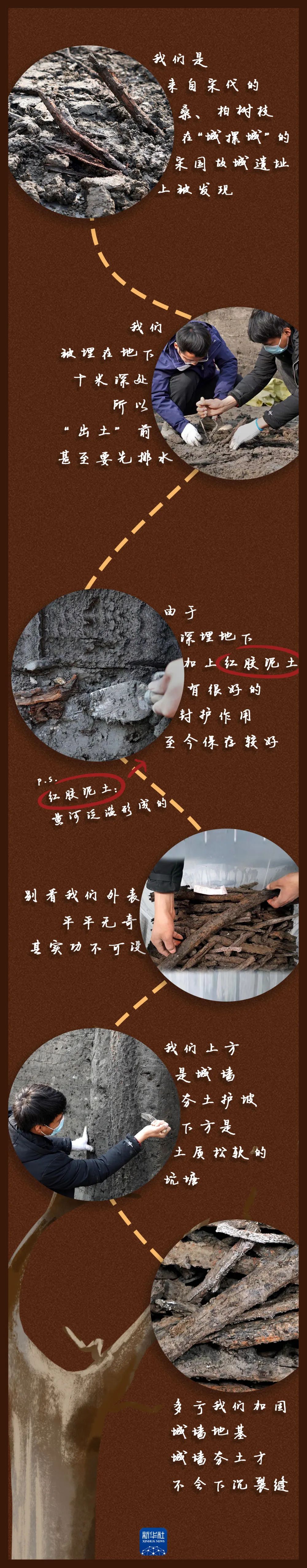 這些樹枝，刷新認(rèn)知！