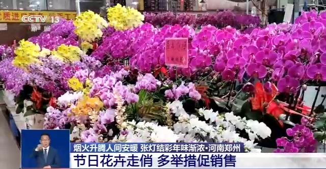 兔年春節(jié)臨近 全國各地年味漸濃、春意充盈