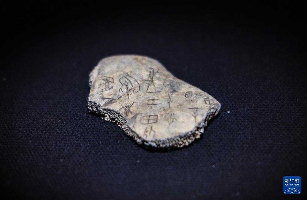 甲骨、簡牘、敦煌遺書、明清檔案首次在國家典籍博物館集中亮相