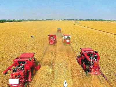 到2025年河南糧食生產(chǎn)要達到1400億斤…… 扛農(nóng)業(yè)大省責任，他們有話說