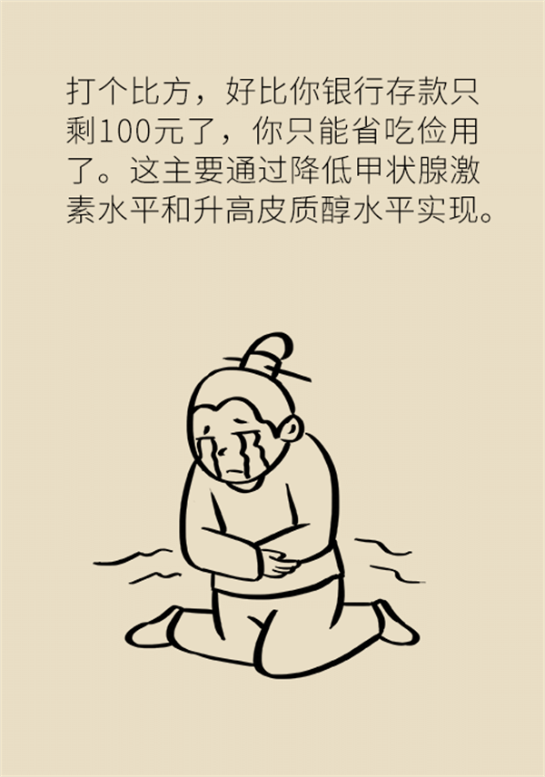 不吃晚飯減肥？專家提醒：體重或反彈更多