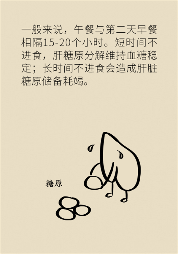 不吃晚飯減肥？專家提醒：體重或反彈更多