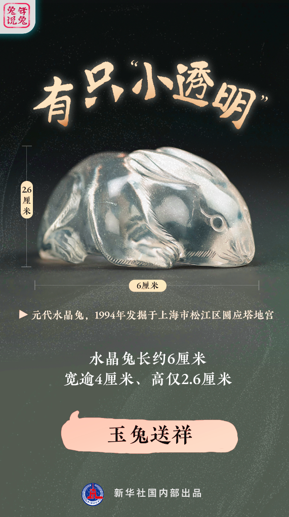 新年“兔”點啥？跨越時空，兔子們發(fā)來祝福！