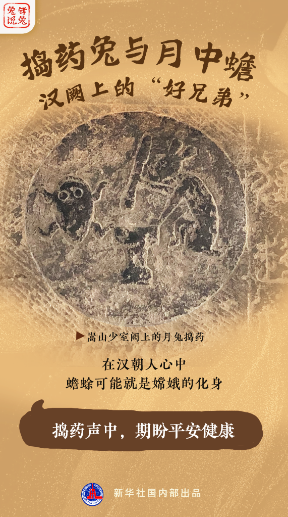 新年“兔”點啥？跨越時空，兔子們發(fā)來祝福！