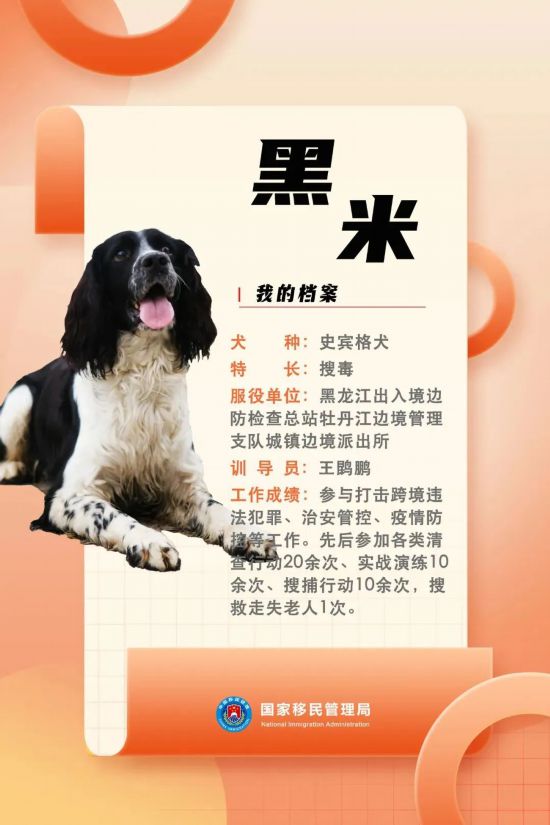 國(guó)家首批“功勛犬”，來(lái)了！