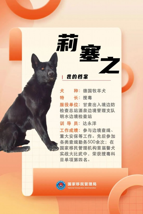 國(guó)家首批“功勛犬”，來(lái)了！