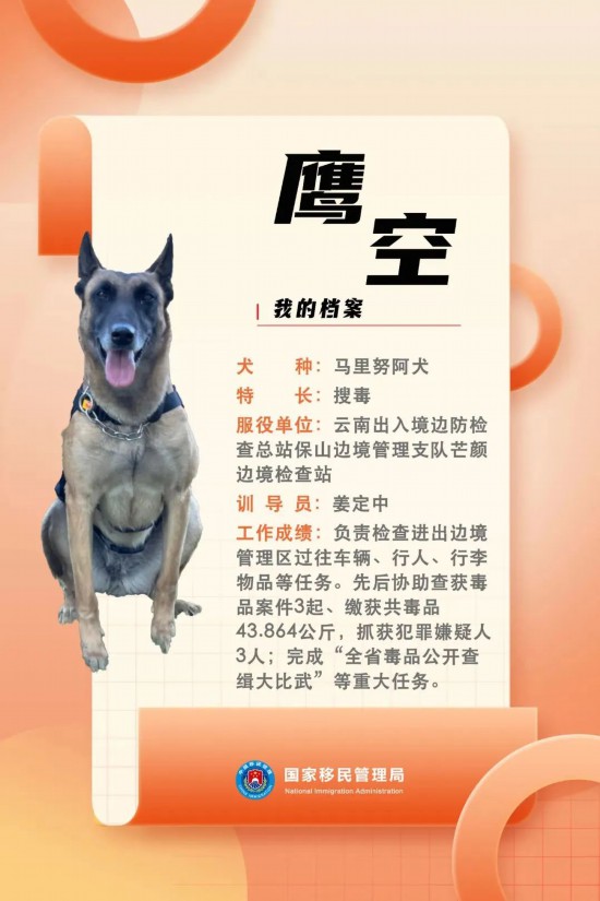 國(guó)家首批“功勛犬”，來(lái)了！