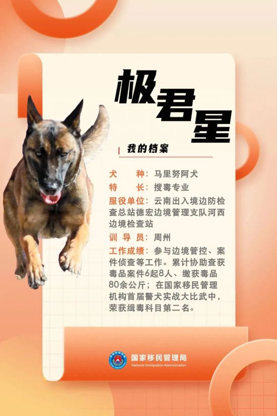 國(guó)家首批“功勛犬”，來(lái)了！