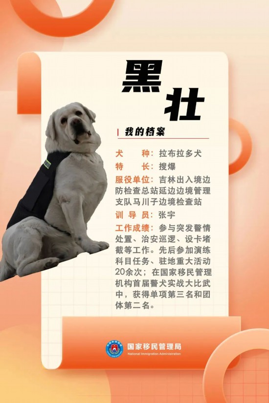 國(guó)家首批“功勛犬”，來(lái)了！
