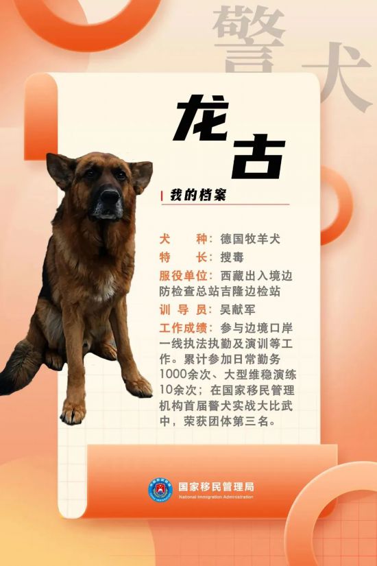 國(guó)家首批“功勛犬”，來(lái)了！