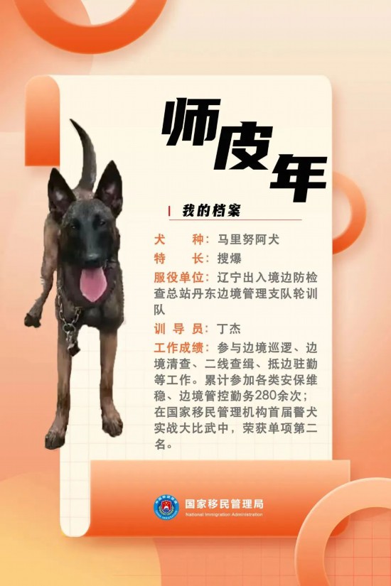 國(guó)家首批“功勛犬”，來(lái)了！