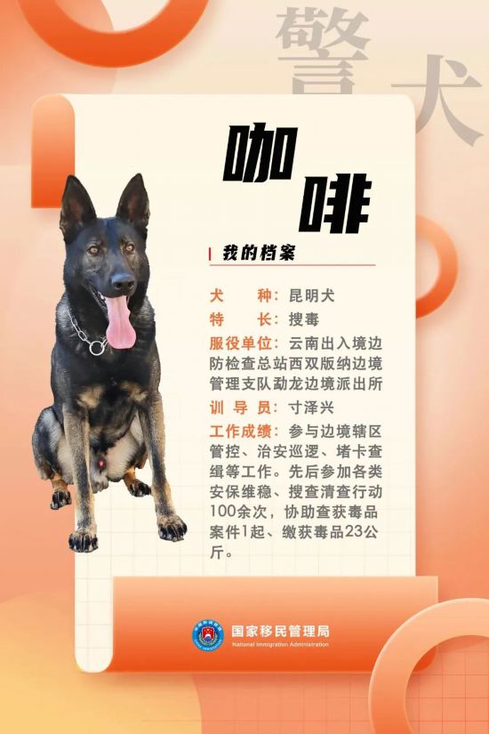 國(guó)家首批“功勛犬”，來(lái)了！