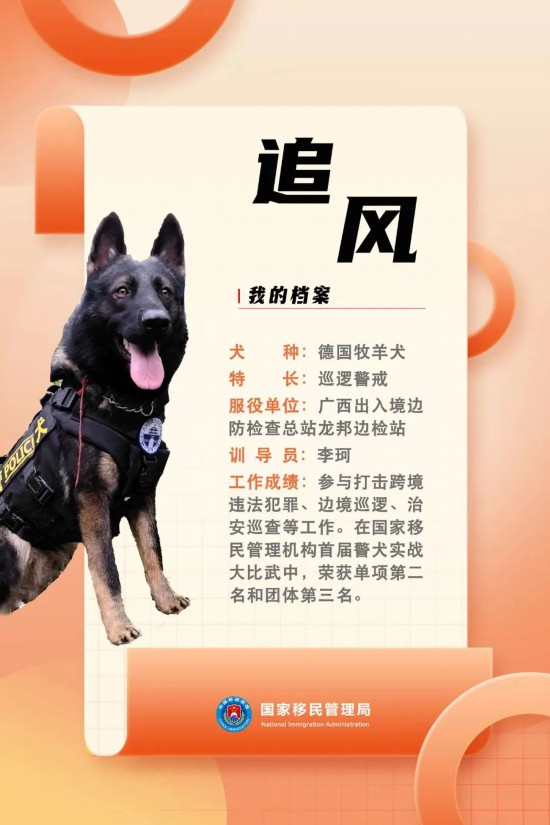 國(guó)家首批“功勛犬”，來(lái)了！