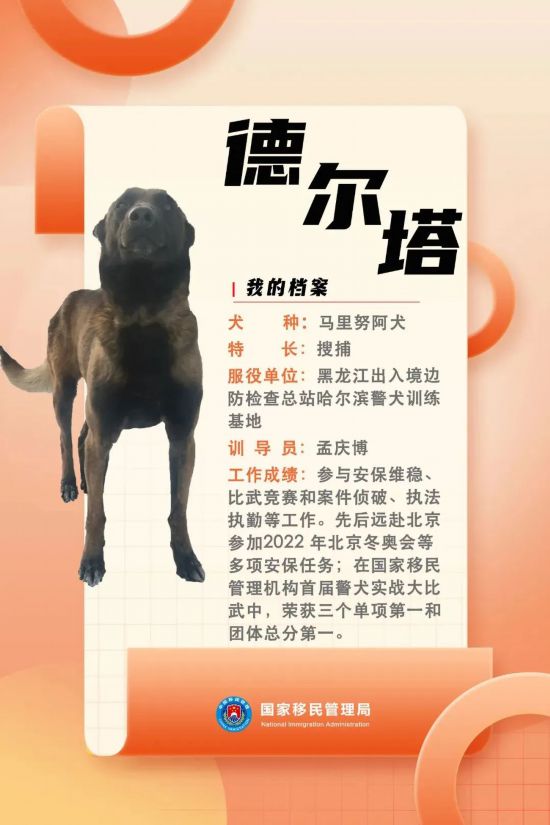 國(guó)家首批“功勛犬”，來(lái)了！