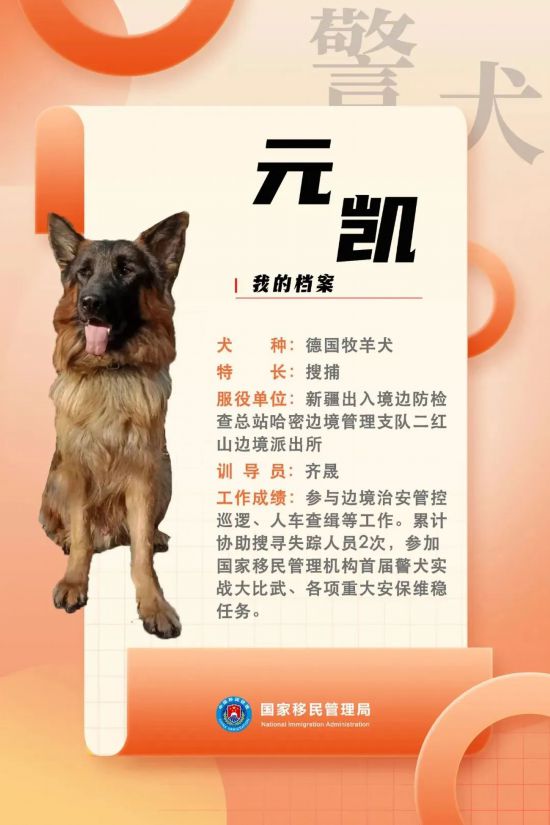 國(guó)家首批“功勛犬”，來(lái)了！