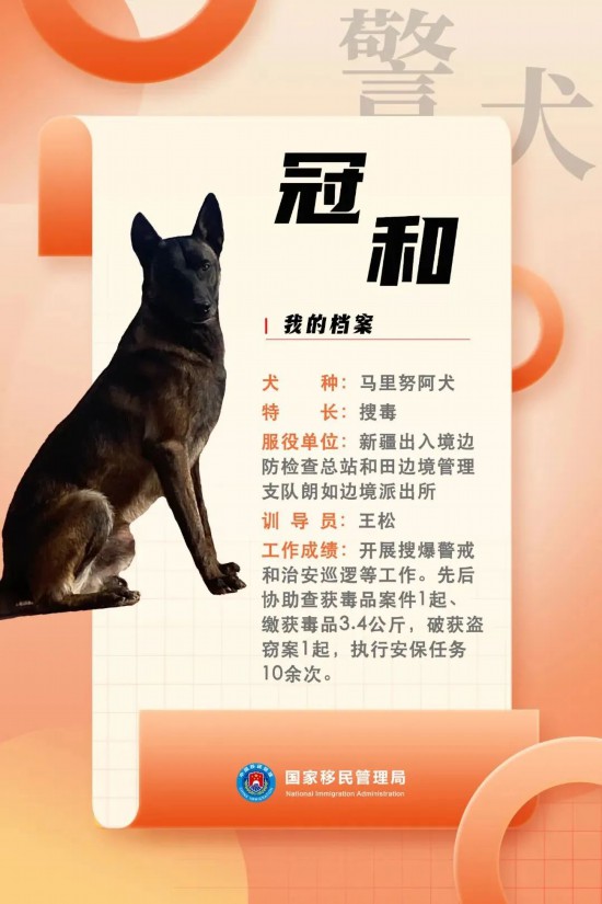 國(guó)家首批“功勛犬”，來(lái)了！