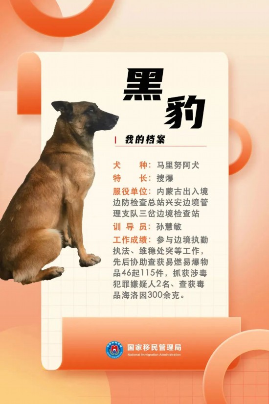 國(guó)家首批“功勛犬”，來(lái)了！