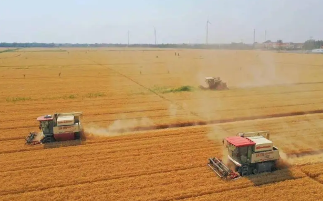 春耕備耕扎實推進(jìn) 糧食穩(wěn)產(chǎn)底氣更足