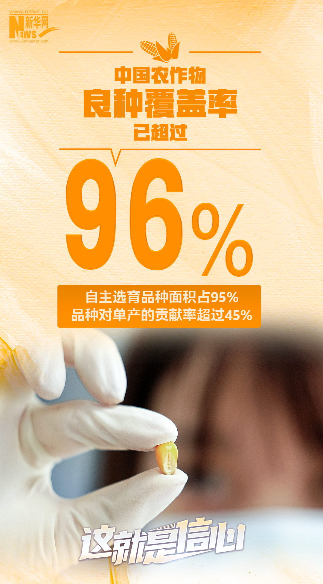 這就是信心丨從5組數(shù)據(jù)看端牢中國飯碗的底氣