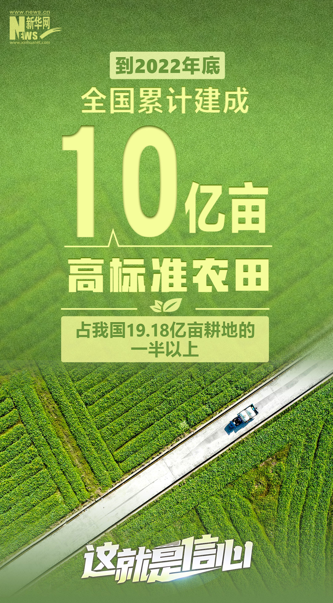 這就是信心丨從5組數(shù)據(jù)看端牢中國飯碗的底氣