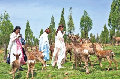 免票、半價(jià)、限時(shí)特惠……3·8女神“價(jià)”到，來(lái)河南這些景區(qū)“約惠”吧