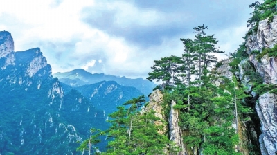 免票、半價、限時特惠……3·8女神“價”到，來河南這些景區(qū)“約惠”吧