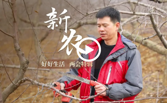 好好生活·新農(nóng) | 新農(nóng)人“蘋果狀元戶”的兩會愿望：希望更多年輕人返鄉(xiāng)創(chuàng)業(yè)