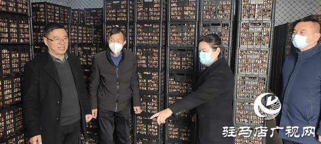 市農(nóng)科院院長(zhǎng)孟祥鋒深入確山縣檢查指導(dǎo)科技特派員工作