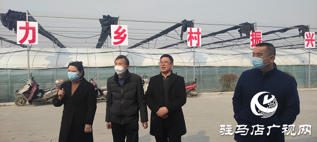 市農(nóng)科院院長(zhǎng)孟祥鋒深入確山縣檢查指導(dǎo)科技特派員工作