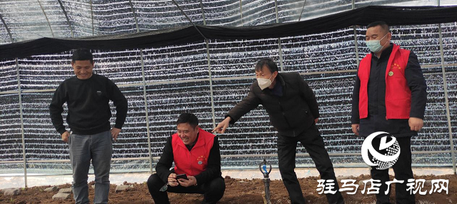 市農(nóng)科院院長(zhǎng)孟祥鋒深入確山縣檢查指導(dǎo)科技特派員工作
