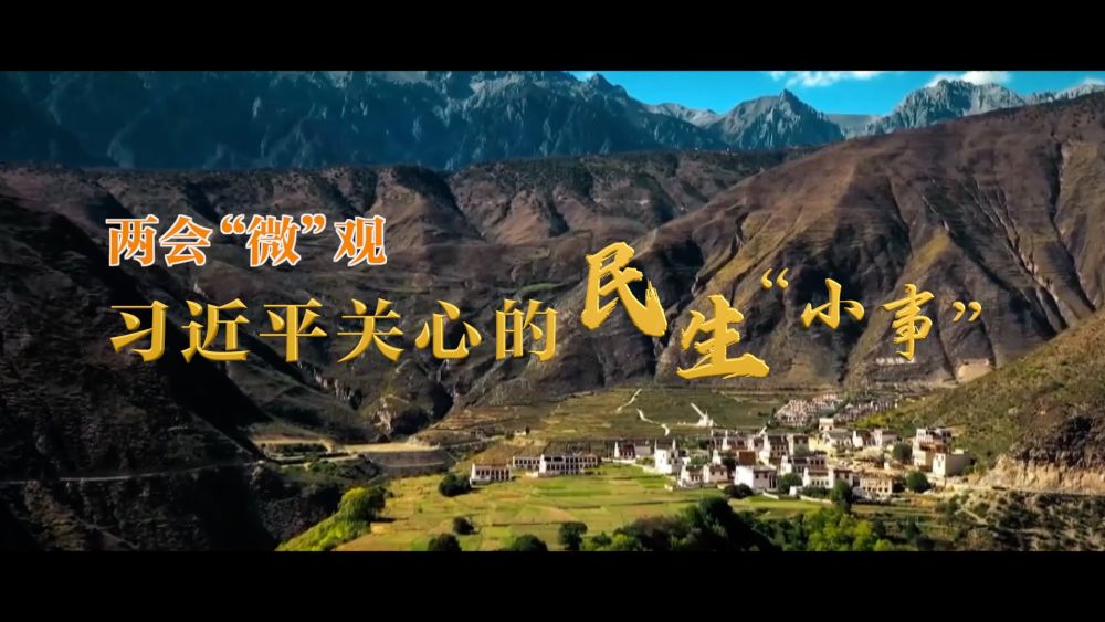 兩會(huì)“微”觀(guān)｜習(xí)近平關(guān)心的民生“小事”