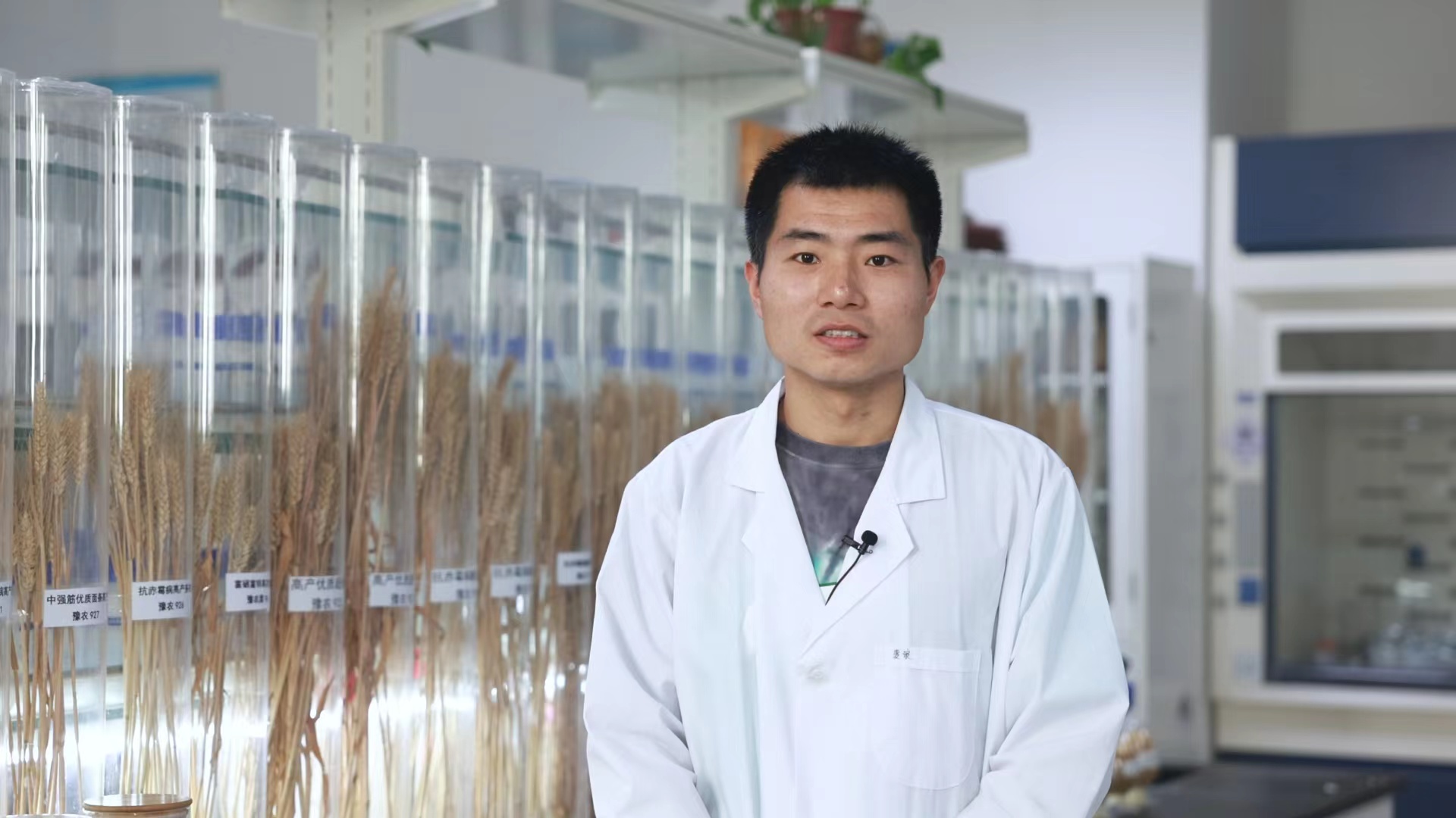 AI主播聊報告①丨種業(yè)強“芯” 為糧食安全貢獻科技力量