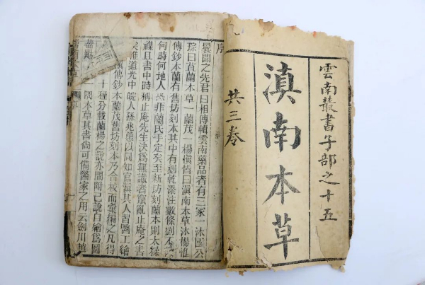 國博閃“藥”，探秘昆中藥瑰寶 | 滇南本草