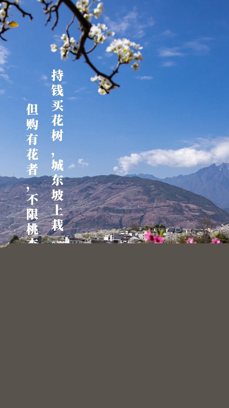 新華全媒+丨植樹傳統(tǒng)，從古詩(shī)中走來