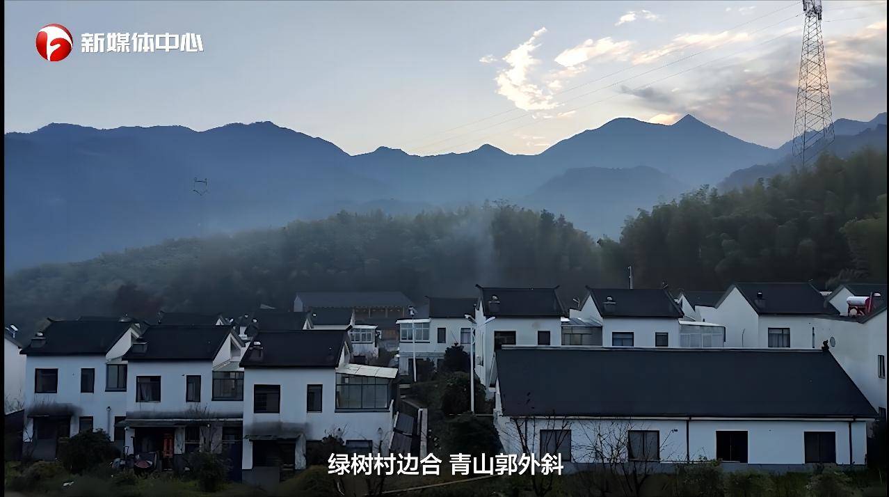  “請總書記放心，我們一定會把大灣村建設(shè)得更美更好”