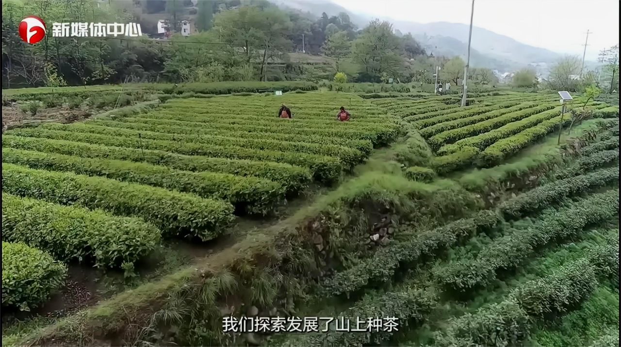  “請總書記放心，我們一定會把大灣村建設(shè)得更美更好”