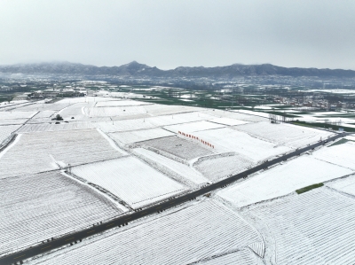 預(yù)計(jì)可以緩解4000萬(wàn)畝小麥旱情！這場(chǎng)“及時(shí)雨”幫河南節(jié)省10億元灌溉費(fèi)