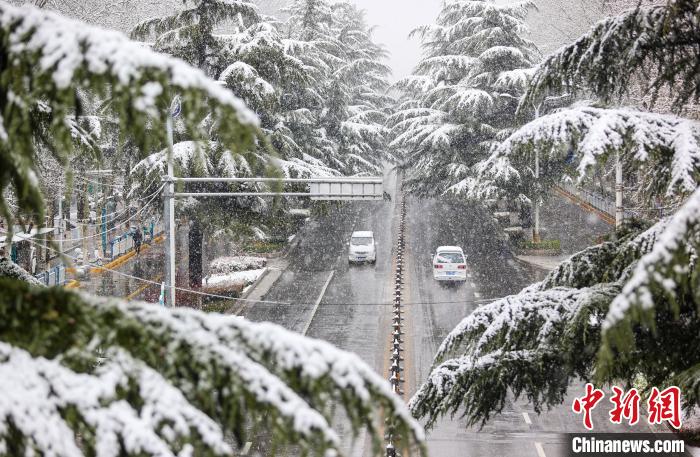 河南多地發(fā)布暴雪紅色預警 降雪成因公布