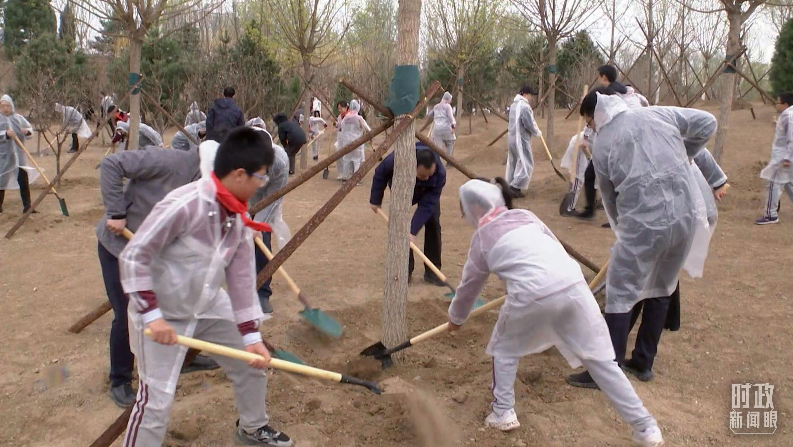 時(shí)政新聞眼丨在今年首都義務(wù)植樹現(xiàn)場，習(xí)近平這三句話飽含深意