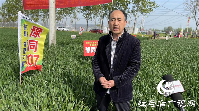 重磅！噸源種業(yè)再添強(qiáng)勢(shì)小麥品種，豫同107助農(nóng)增產(chǎn)豐收！