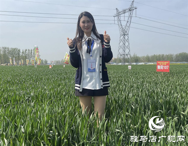 重磅！噸源種業(yè)再添強(qiáng)勢(shì)小麥品種，豫同107助農(nóng)增產(chǎn)豐收！