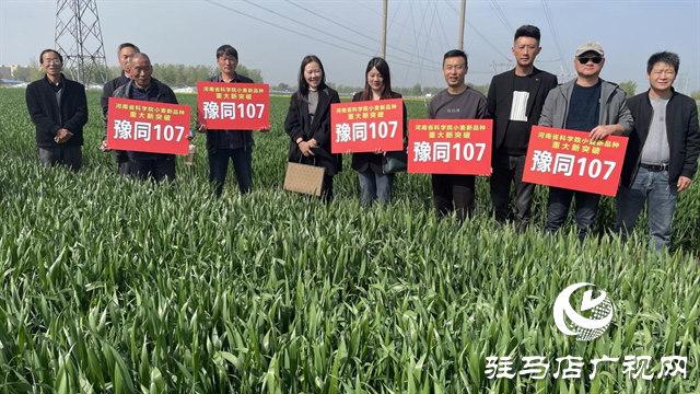 重磅！噸源種業(yè)再添強(qiáng)勢(shì)小麥品種，豫同107助農(nóng)增產(chǎn)豐收！