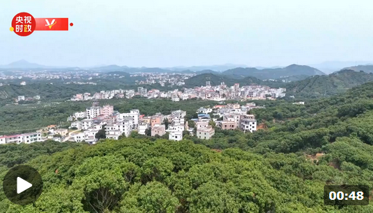 時政新聞眼丨廣東考察第二天，習(xí)近平重點聚焦這個村