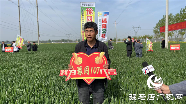重磅！噸源種業(yè)再添強(qiáng)勢(shì)小麥品種，豫同107助農(nóng)增產(chǎn)豐收！